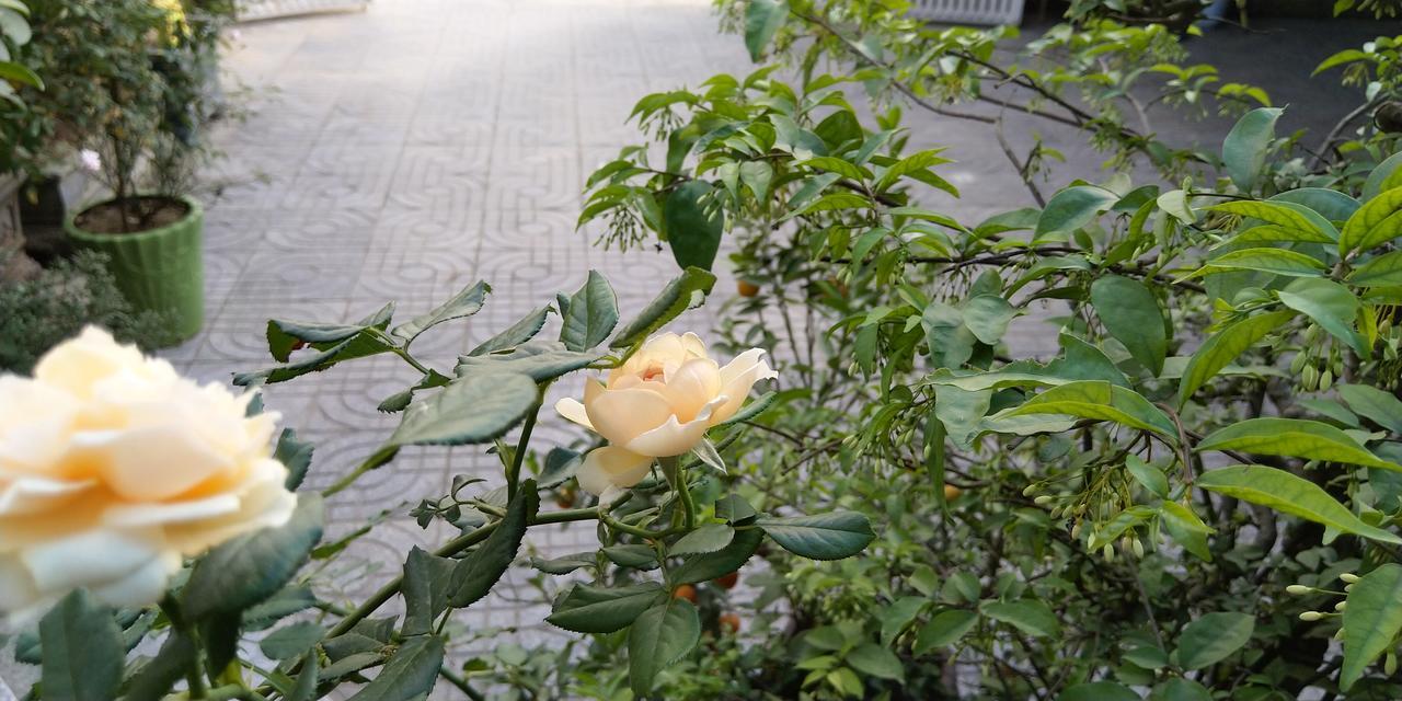 Backpackers Hotel Hà Tĩnh Buitenkant foto